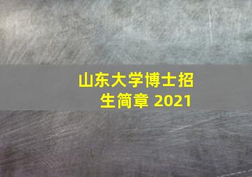 山东大学博士招生简章 2021